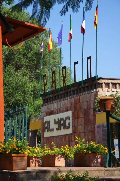 Al Yag