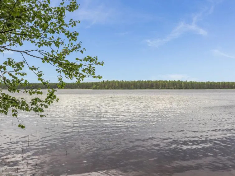 Suvituuli