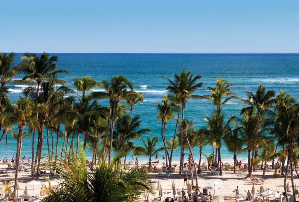 Hotel Riu Palace Bavaro - All Inclusive