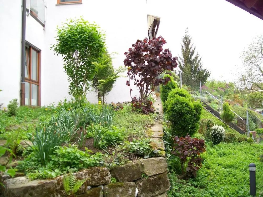 Hotel Gasthof Traube