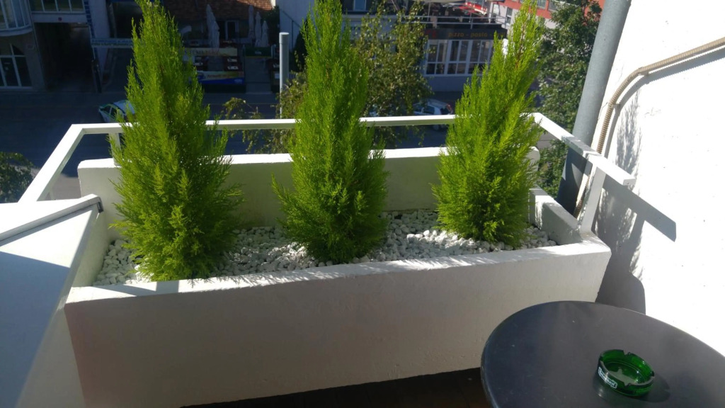 Apartment Pluvia