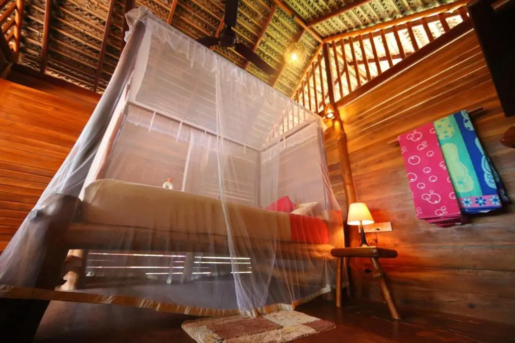 Mangrove Beach Cabana