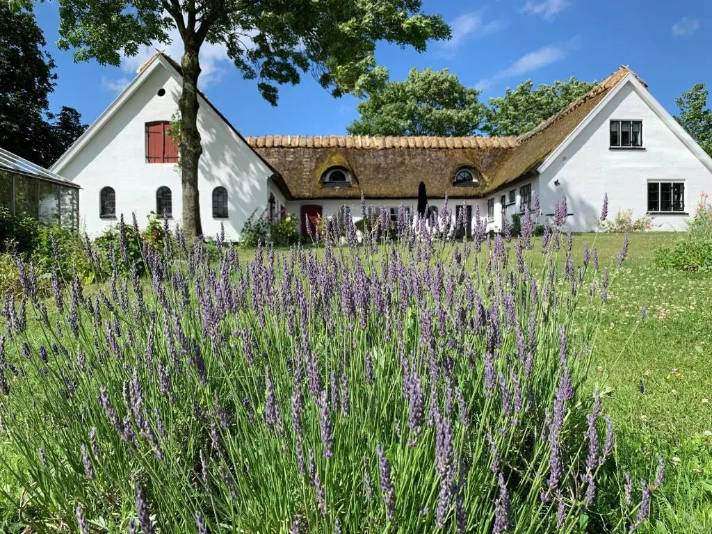 Mariegaardens Gæstehuse