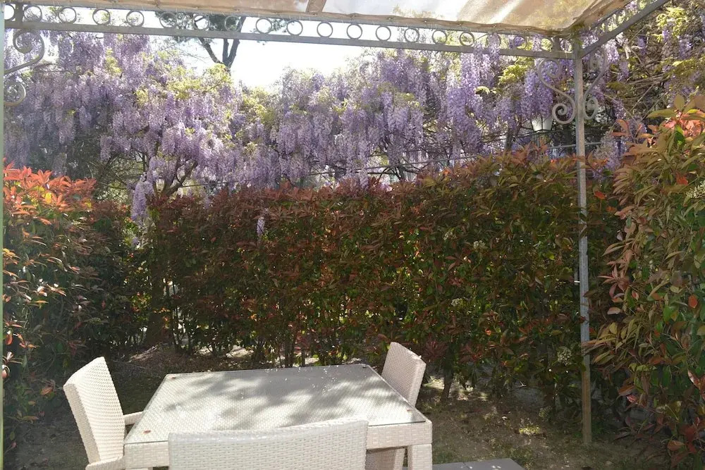 Il Glicine 1
