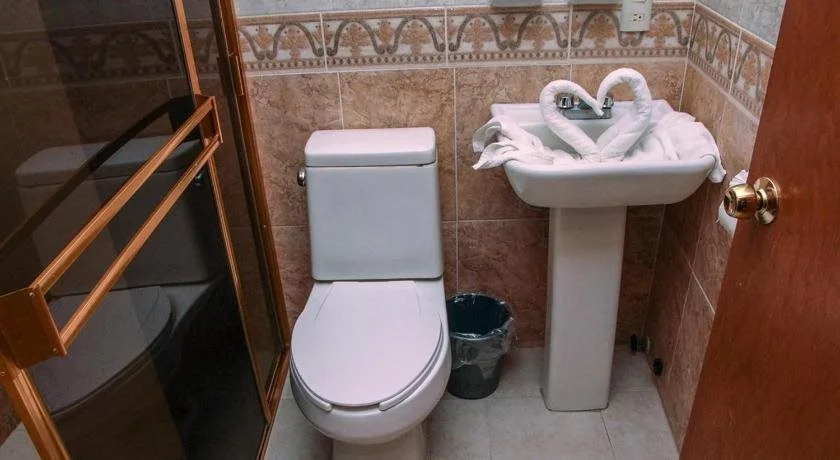 Hotel Plaza Baratillo