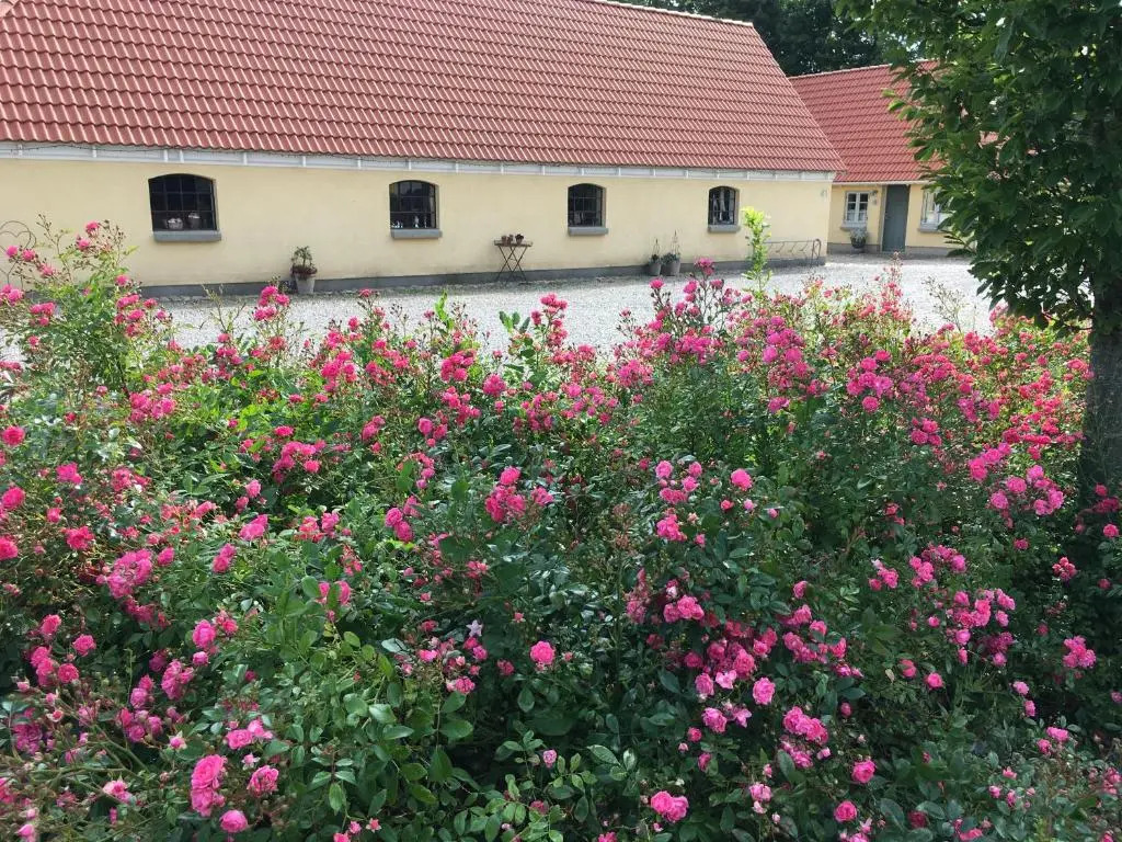Birkende Bed and Breakfast