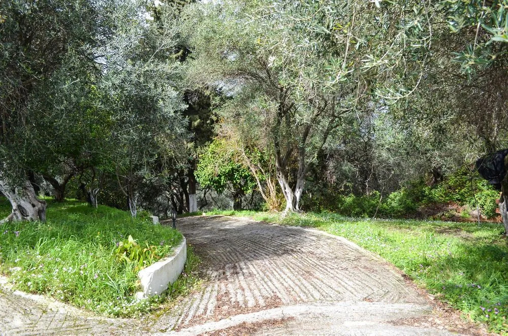 Andre Corfu Village