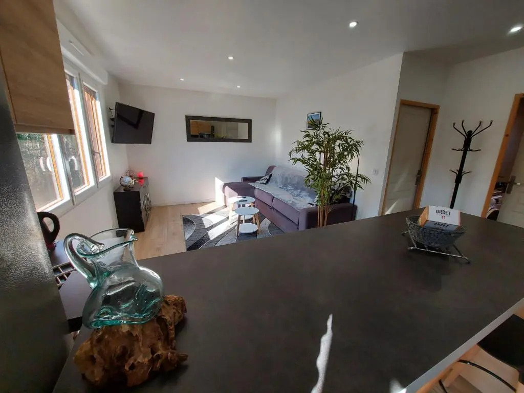 Superbe appartement au centre de St Jorioz