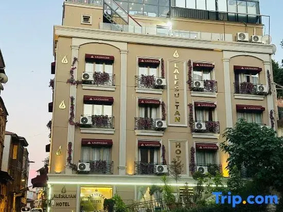 Lale Sultan Hotel