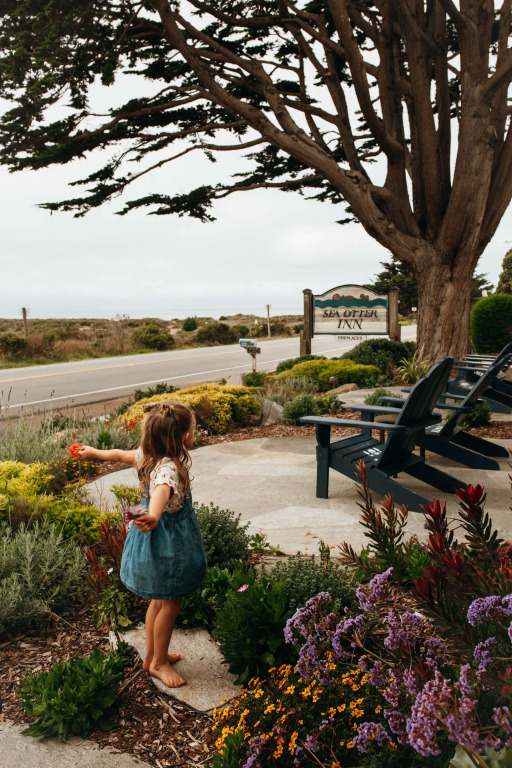 Sea Otter Inn