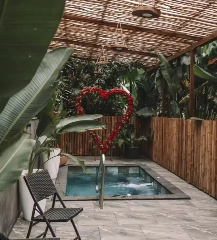 Arenal Palms