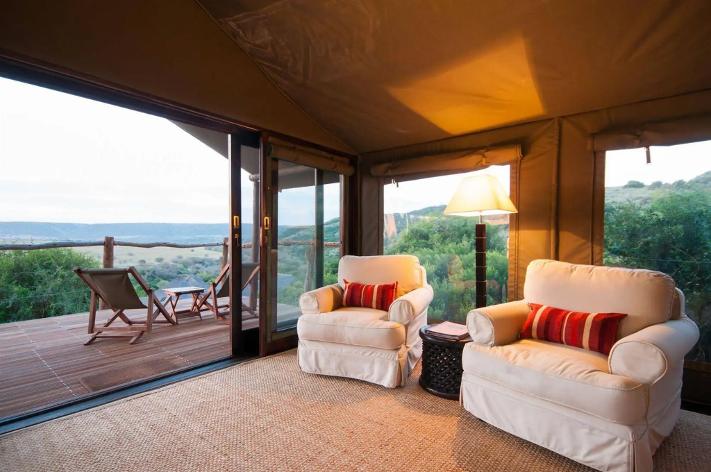 HillsNek Safari Camp - Amakhala Game Reserve