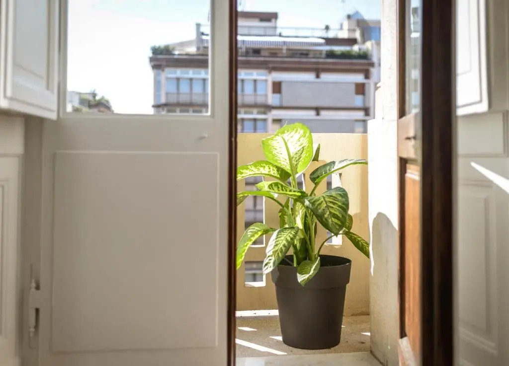 Art View Luxury Apartment