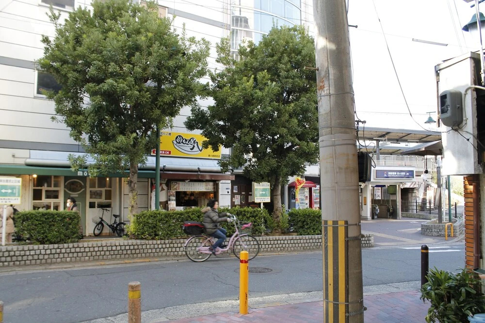 Hr Front Regal Shinmori