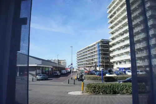Divi Divi Zandvoort