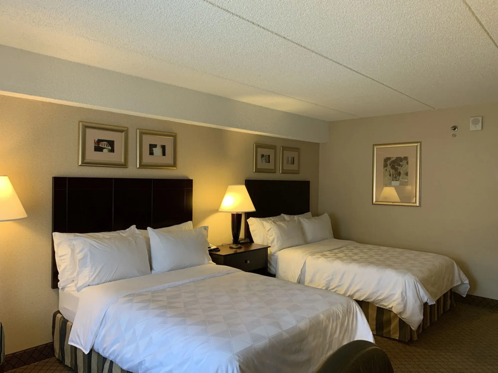 Holiday Inn Johnstown-Downtown by IHG