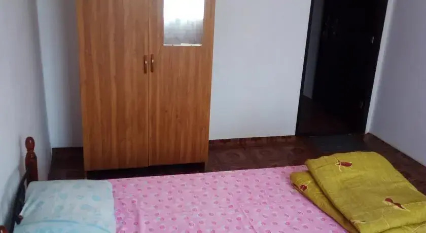 Дельфин