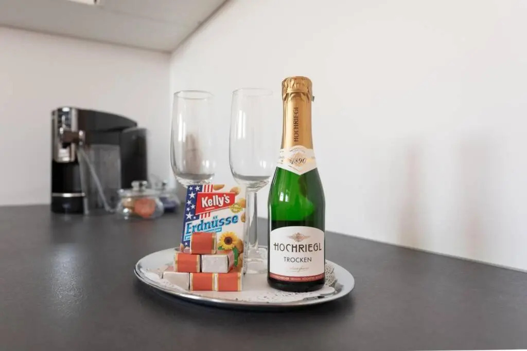 Penthouse near Schoenbrunn with large terrace! N43