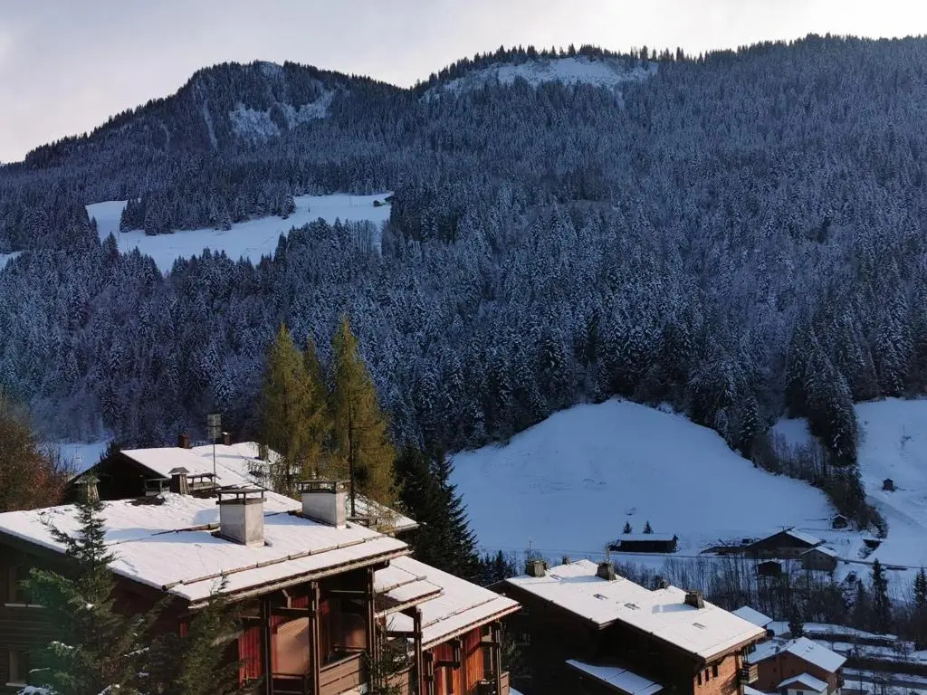 Studio le Grand-Bornand Village
