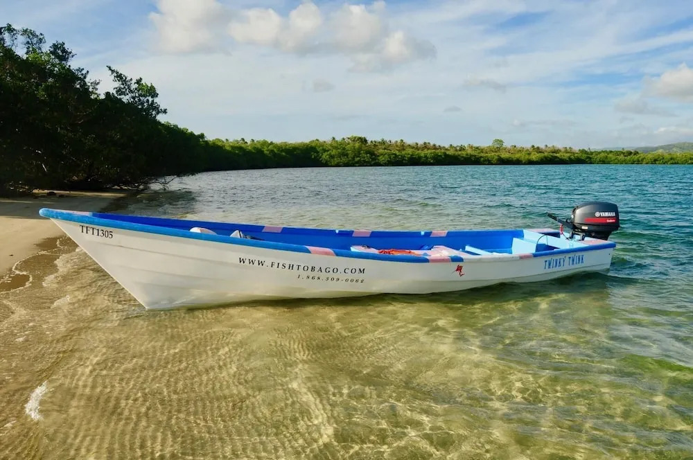 Angel Fish Cove