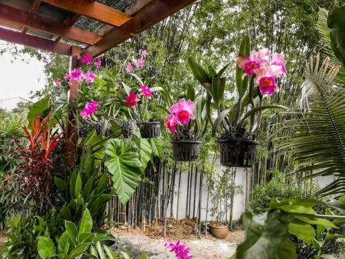Villa Volpi Bed & Breakfast(วิลลา วอลปี บีแอนด์บี)