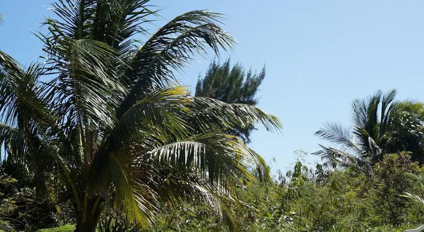 Siyaj-kin Camping