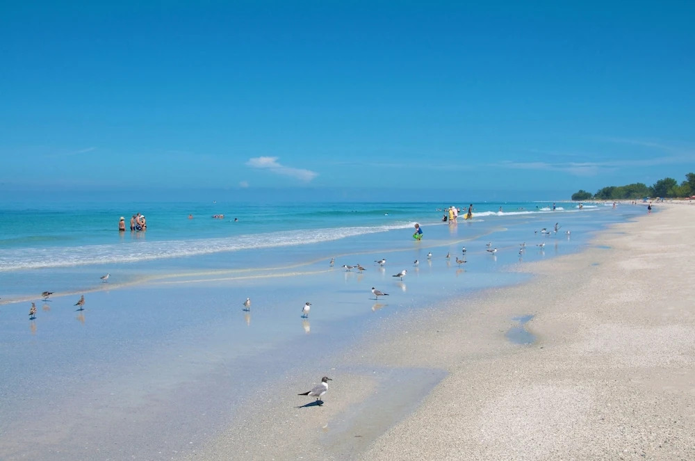 Tropic Isle At Anna Maria Island Inn