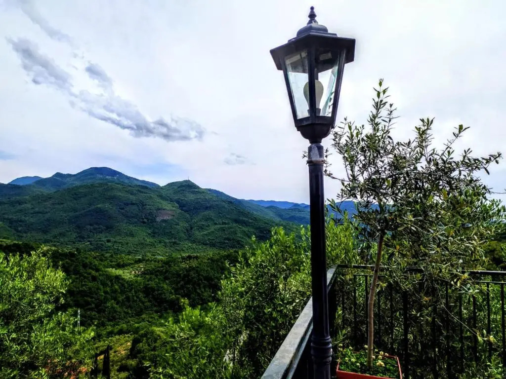 L'Oliveto