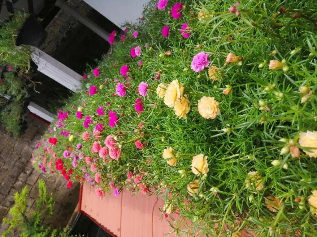 Kanthi Holiday Rest Homestay
