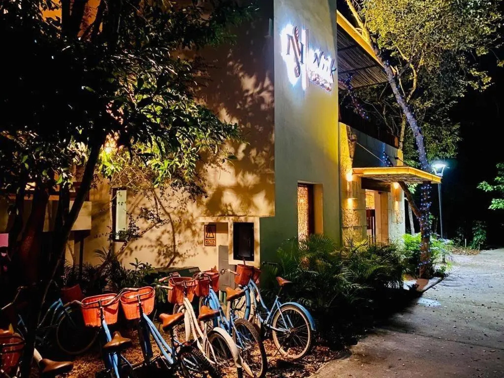 Niik Tulum