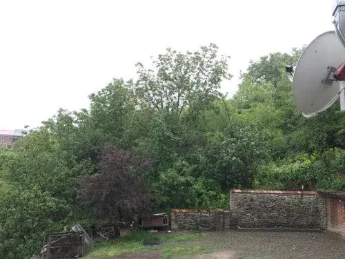 Tyupebi