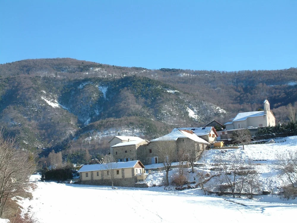 L'Asphodèle