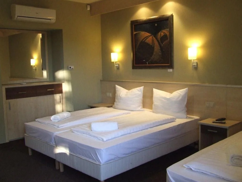 Hotel Vineyard Inn - Szőlőskert