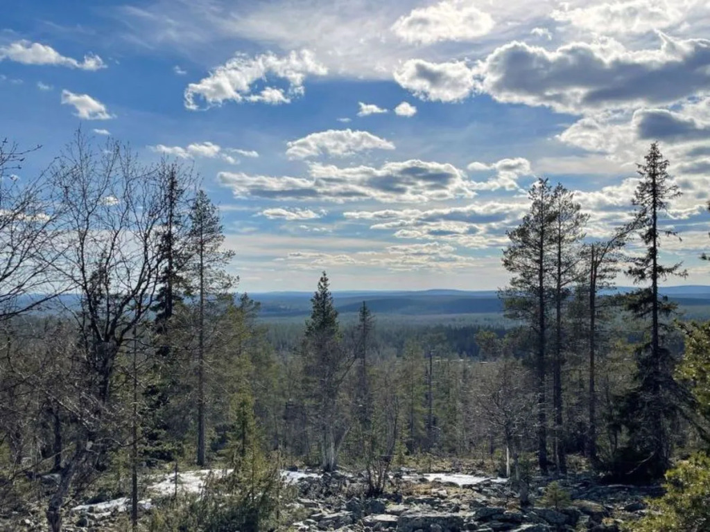 Yllasriekko / itatupa