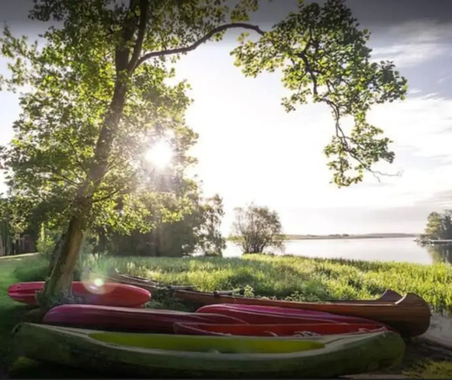 Lusty Beg Island