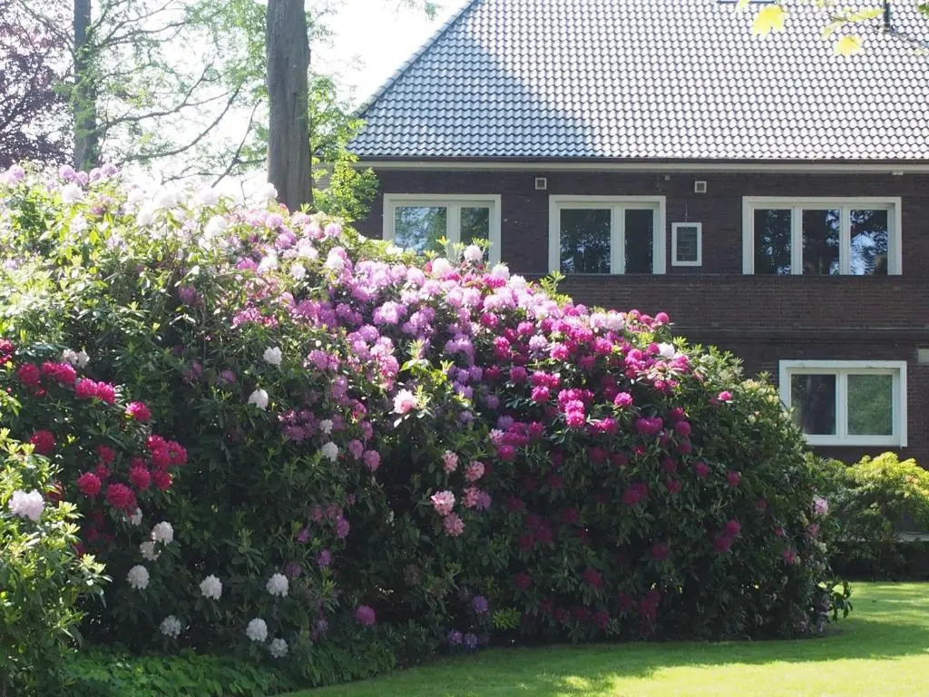 Ferienwohnung Alte Fehnapotheke, 95144