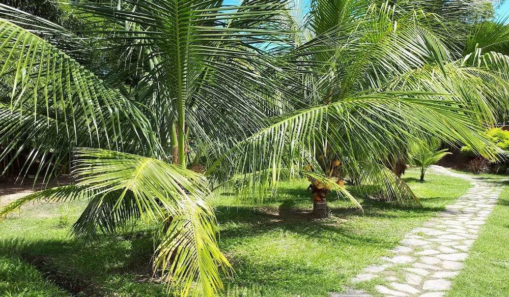 COCONUT TARAPOTO - ECO RESORT