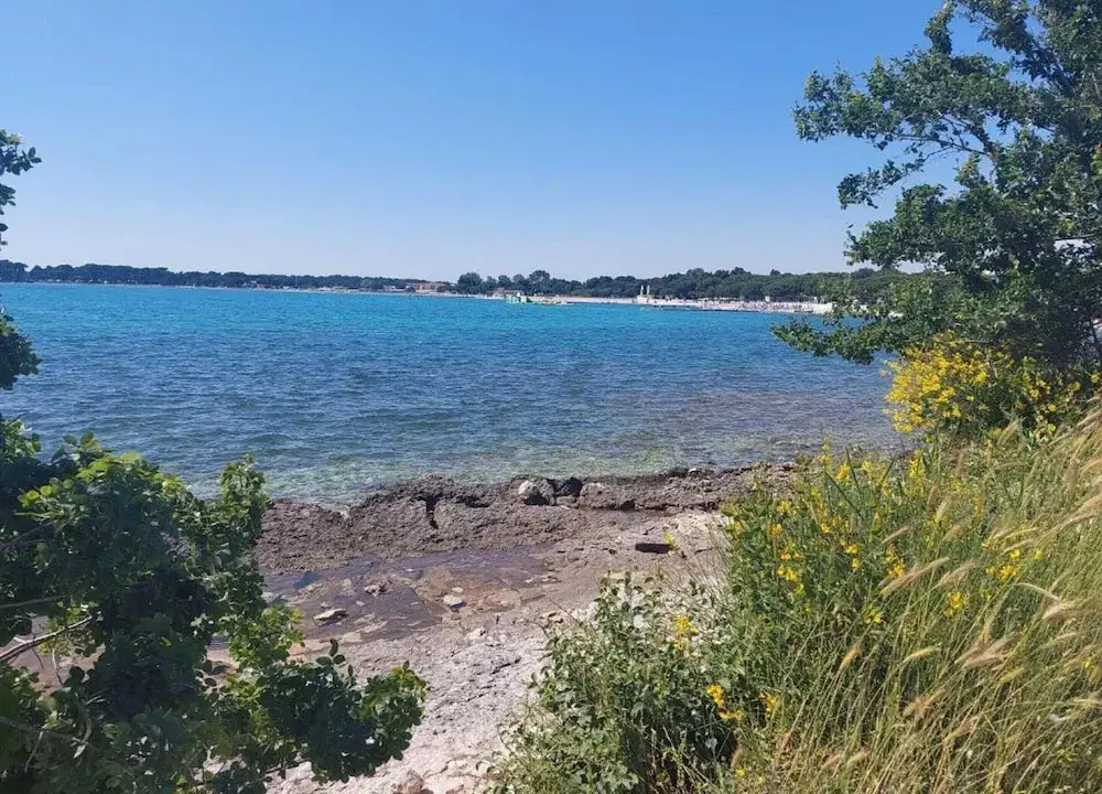 Studio Apartment, 250m From the Beach