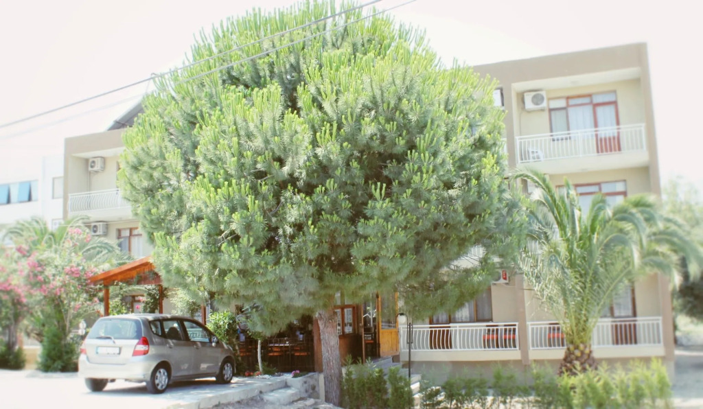Grand Yayla Hotel