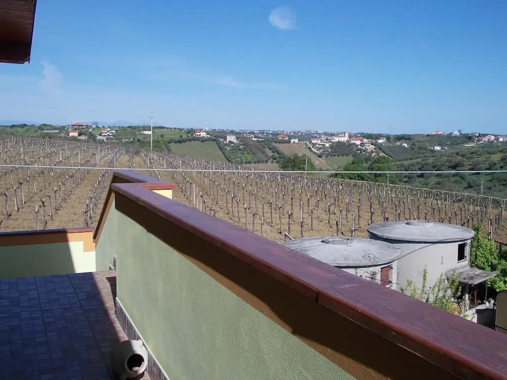 Il Ritrovo Delle Coccinelle