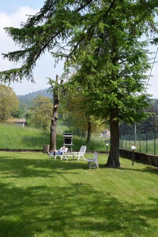Green House nel bosco