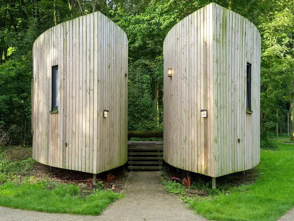 Suite in Tournai Forest Near Lille