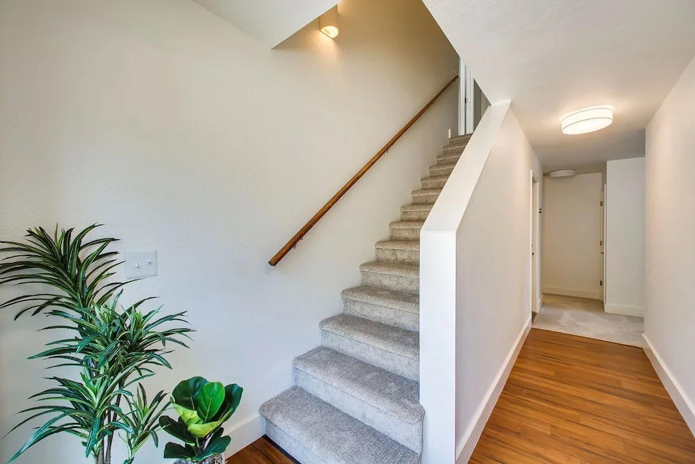 Elm Grove Elegance