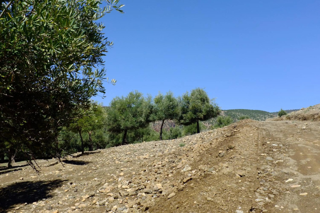 Riad Cascades dOuzoud