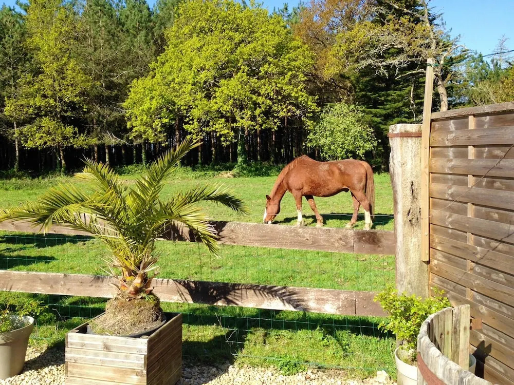 Villa With 6 Bedrooms in Sallertaine, With Private Pool, Enclosed Gard