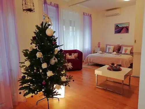 Apartments Ibler