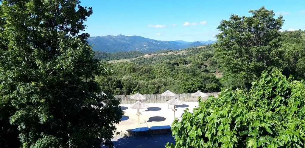 Domaine Plein Sud