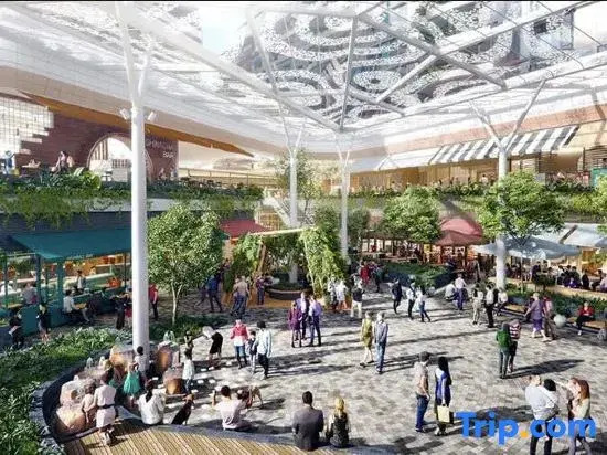 Modern Luxury 2B2B Sky Garden SmartTV