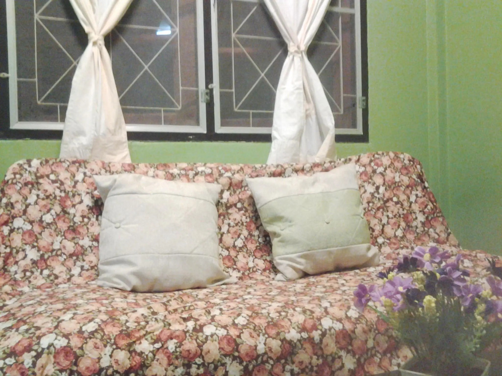 Village House PM 12