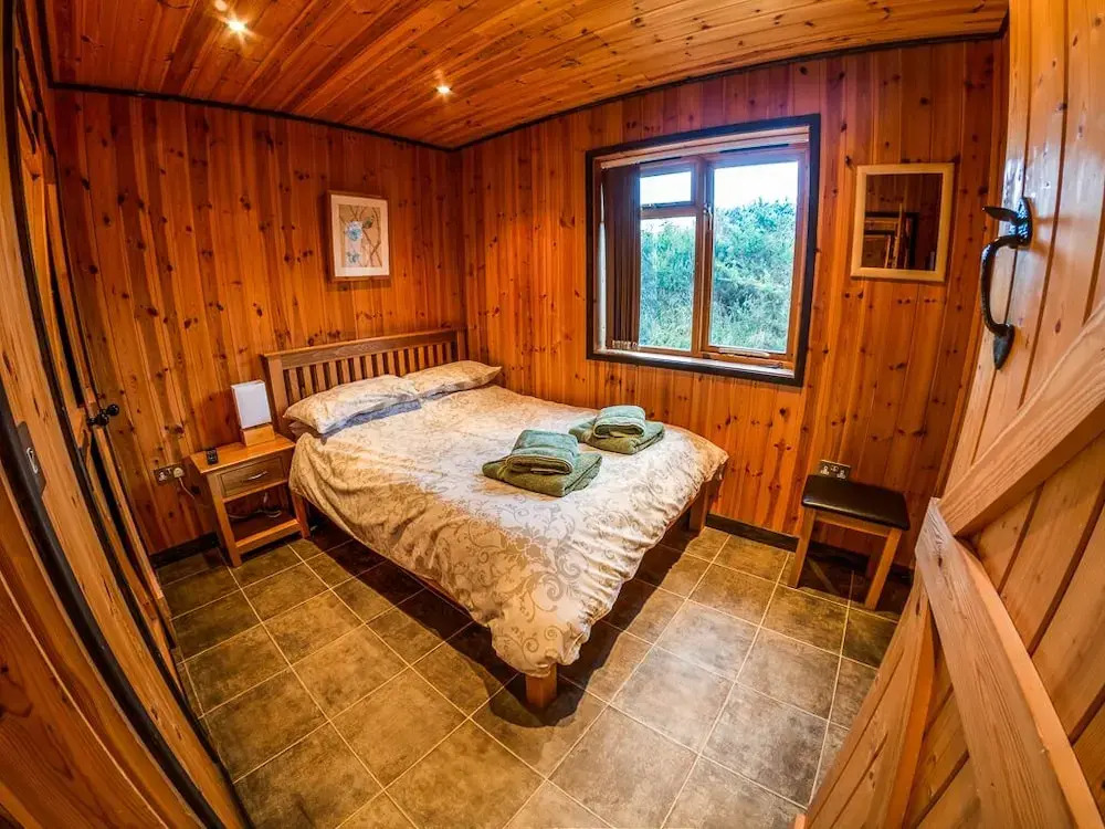 New Forest Lodges